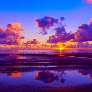 Meet your Posher, Linh